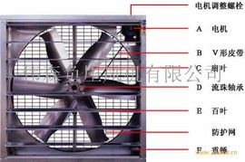供应畜牧养殖负压风机